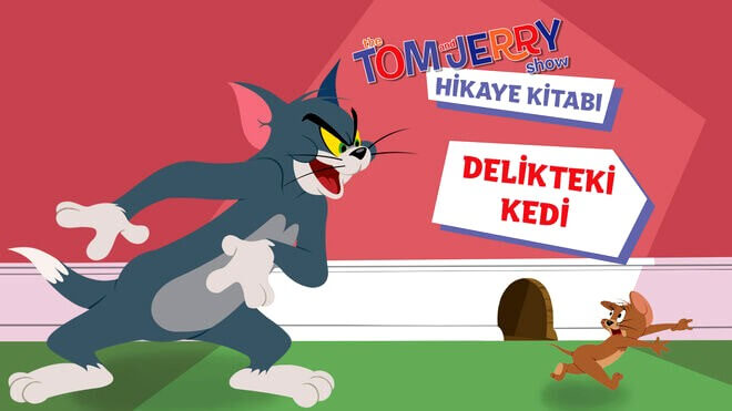 Tom ve Jerry Hikaye Kitabı - Delikteki Kedi